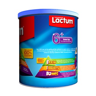 Lactum 6+ Plain Powdered Milk Drink 900g | Shopee Philippines