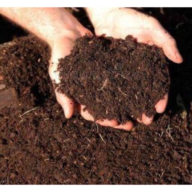 Garden Soil Mixed Garden Soil 500 Grams Shopee Philippines