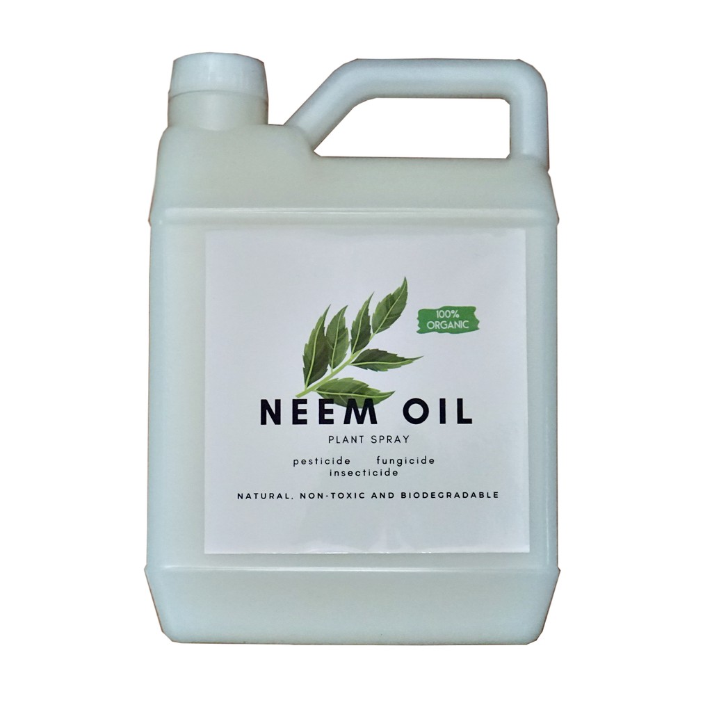 EFFECTIVE! Neem Oil 1 liter (Plant Polish / Plant Cleaner / Pesticide ...