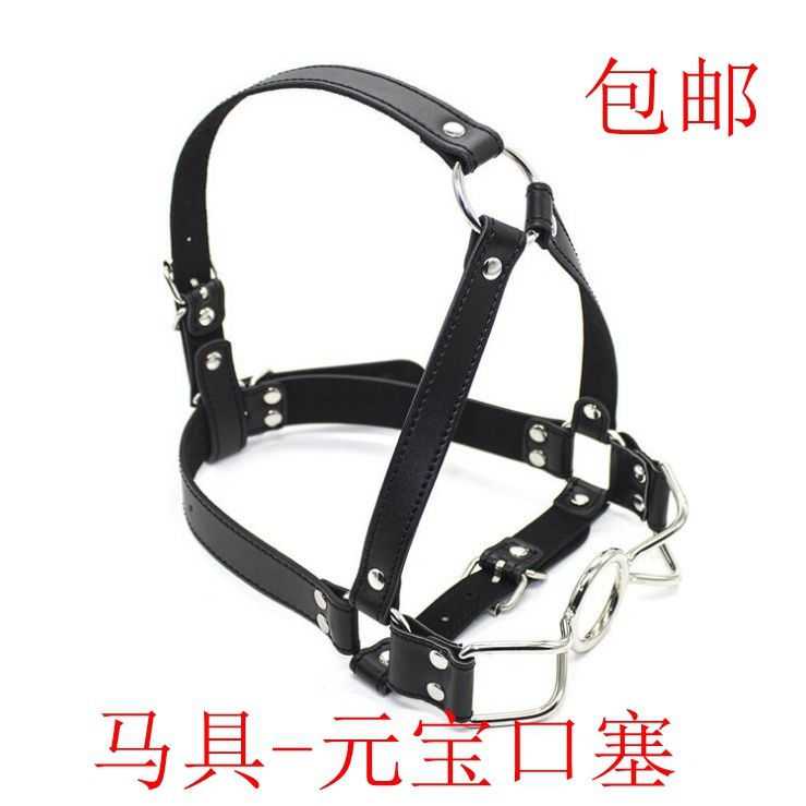 Ball Gag Harness