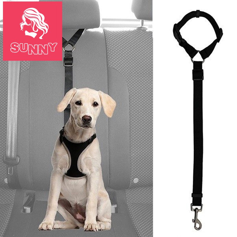 dog safety leash car seat belt