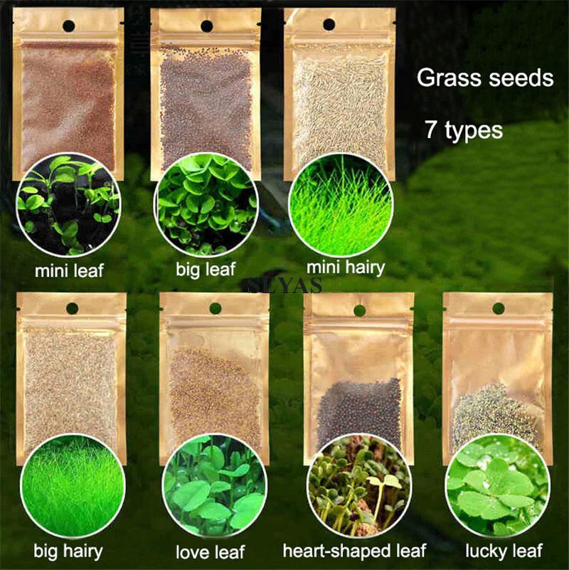 5G Aquarium Plant Seed Rumput Air Akuarium Aquatic Plants Water Grass Seeds rxoc Shopee