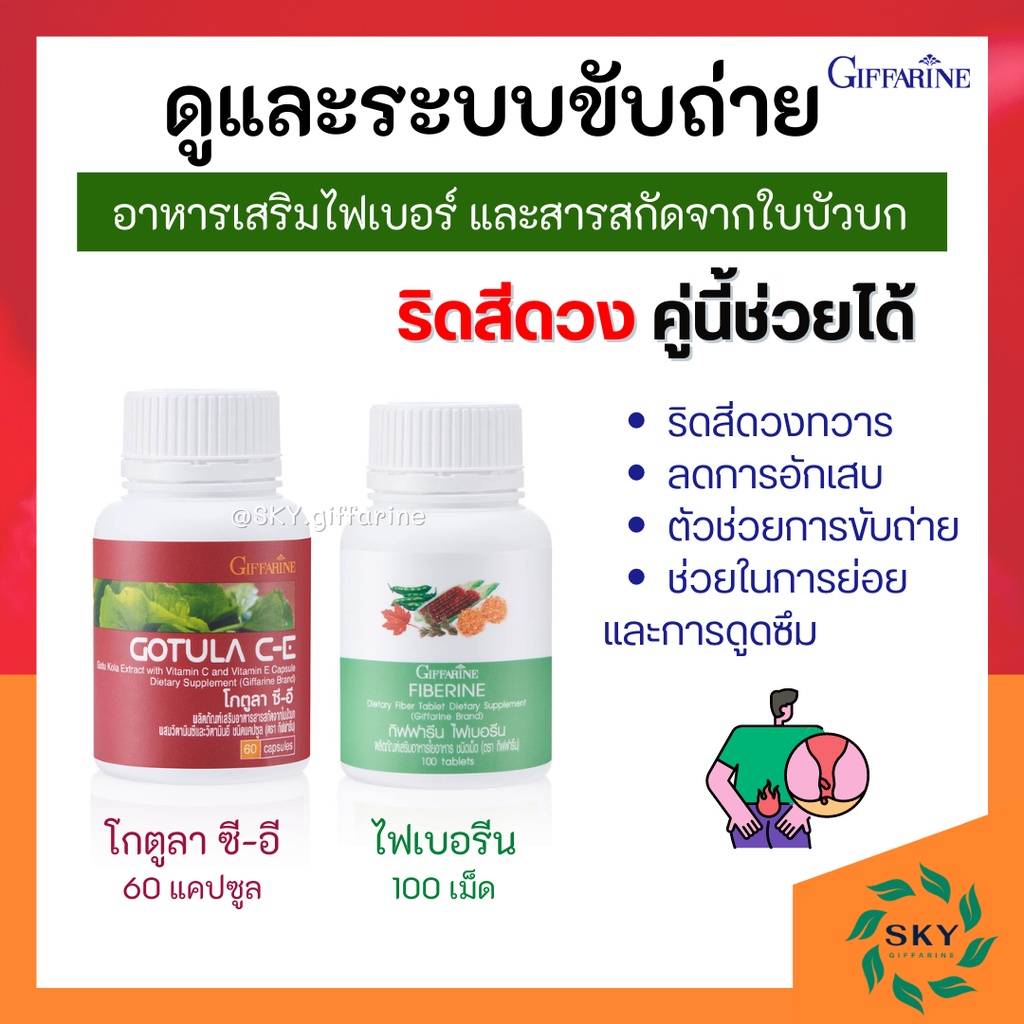 Dietary Supplement Set Digestive System Hemorrhoids/Berberine And