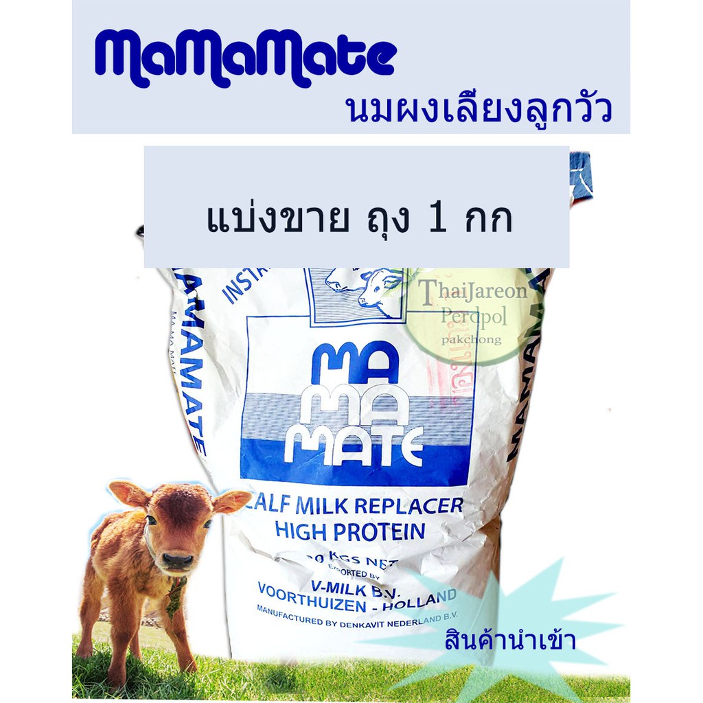 mamamate Milk Powder Animal Feed Cow Calf-Raising Cockroach Cultivated Imported Holland Premium Grade Divided For Sale. #2