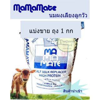 mamamate Milk Powder Animal Feed Cow Calf-Raising Cockroach Cultivated Imported Holland Premium Grade Divided For Sale. #2