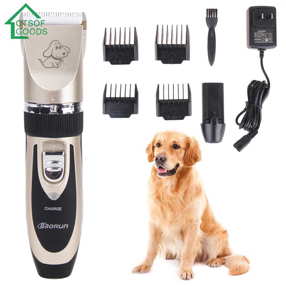 professional pet hair trimmer