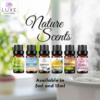 Luxe Essential Fragrance Oil Scent Air Humidifier Water Soluble #6