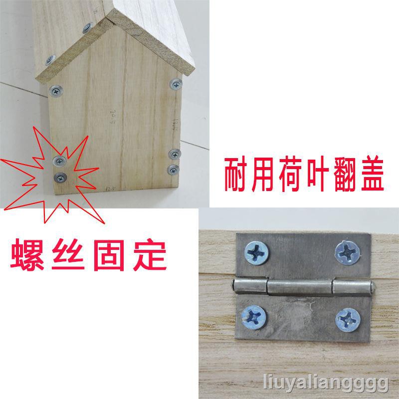 Popular Xinpige Food Slot Solid Wood Tank Automatic Leakage Device Feeder Pigeon Box Trough Anti-Sprinkler #8
