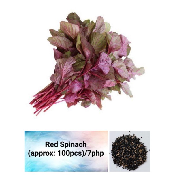 red spinach seeds