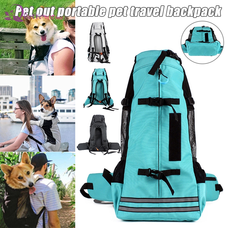 large dog travel carrier