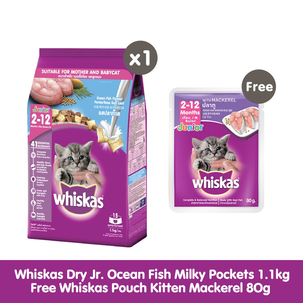 Whiskas Dry Jr. Ocean Fish Milky Pockets 1.1kg Free Whiskas Pouch Kitten Mackerel 80g