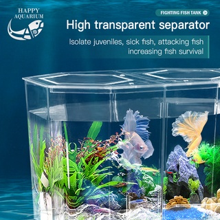 Aquarium Double Betta Fish Tank Dual BettaHex Clear | Shopee Philippines