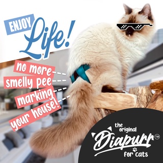 Diapurr for Adult Cats- Reusable Stud Pants - Pet Cat Diapers to Stop Pee Marking