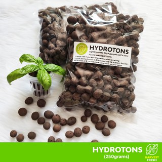 resultado de imagem para inground fish tank aquaponics