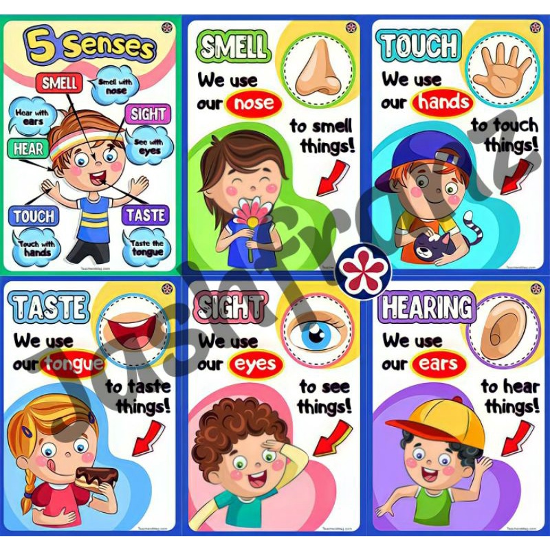 Good Manners Charts Five Senses Laminated A4 Size Sho - vrogue.co