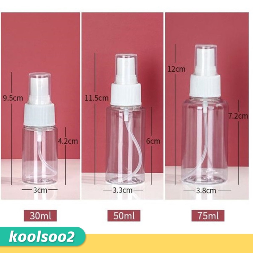 small pump spray bottle