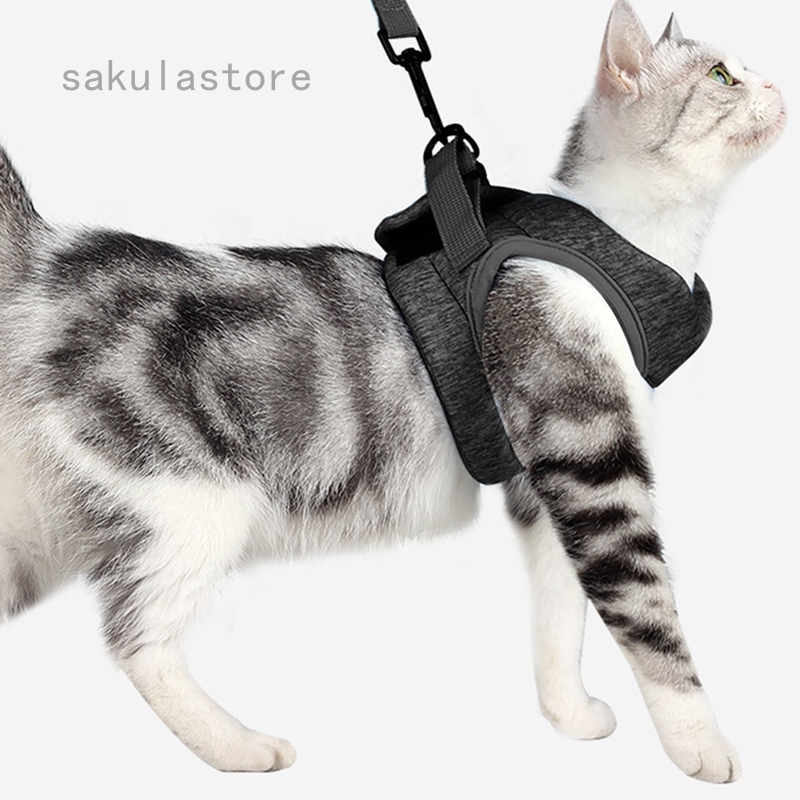 comfortable cat collar