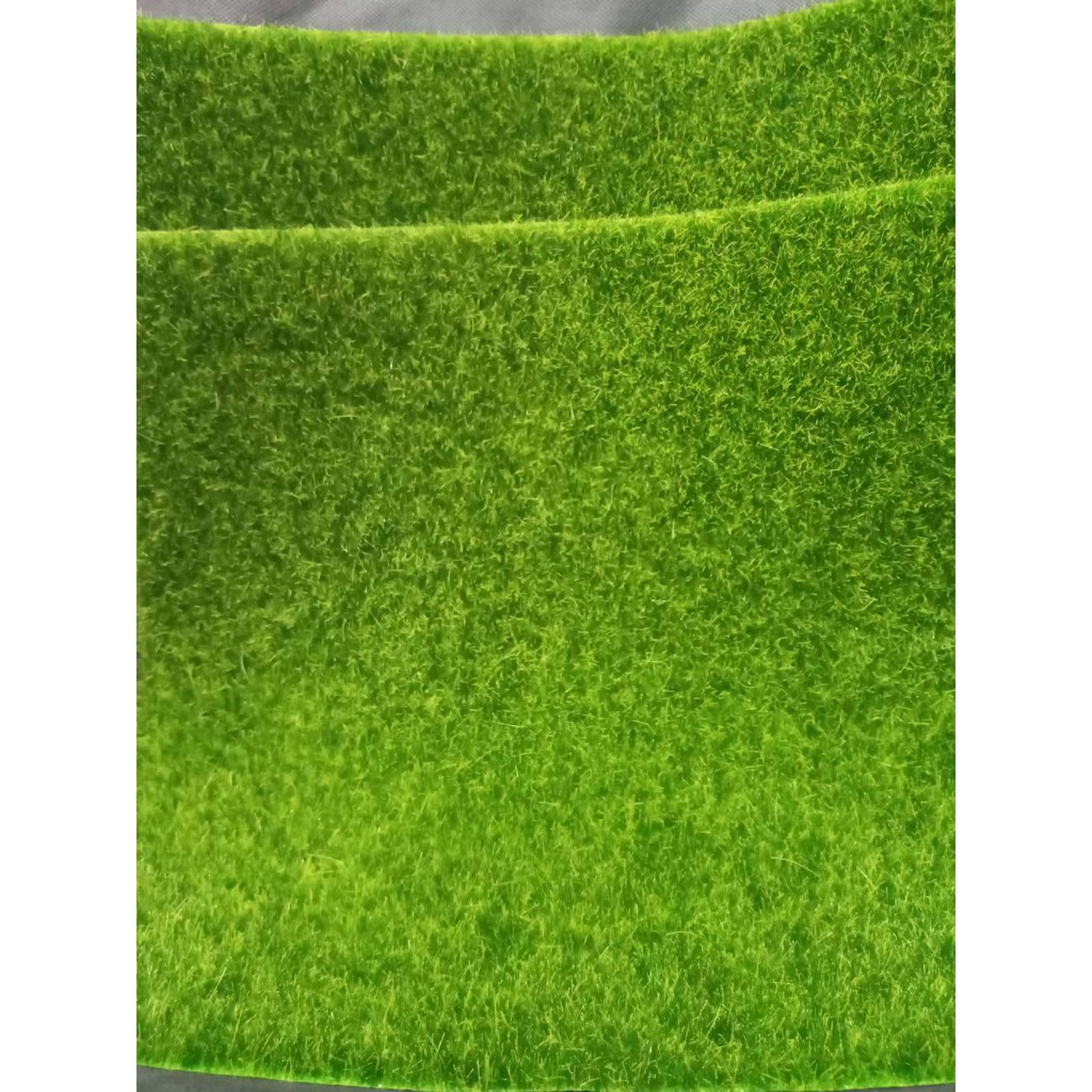 Artificial Bermuda Grass Indoor Mat or Backdrop and Photo shoot