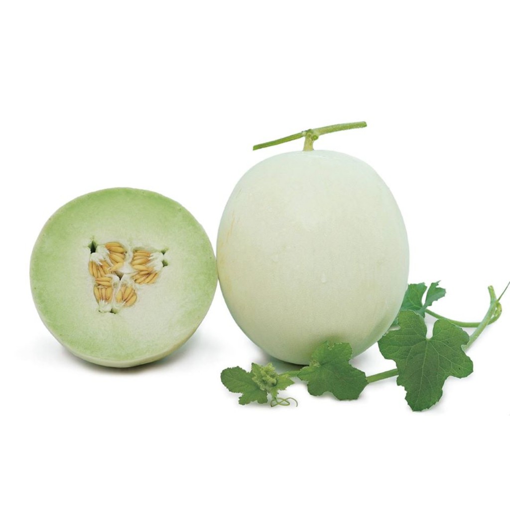 MELON JADE LADY HONEYDEW SEEDS BY KNOWN YOU 10 GRAMS Shopee Philippines