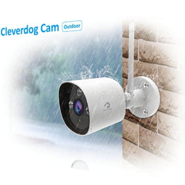 outdoor clever dog camera