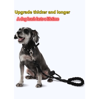 Strong climbing jogging nylon rope braided pet lead dog leash