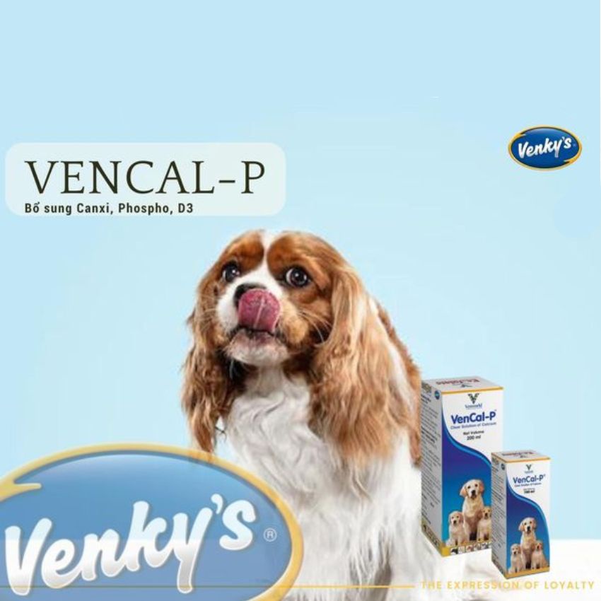 [Genuine]-- Wholesale] Vencal Supplements Calcium For Dogs And Cats Suitable For Bone Formation, For Dogs And Cats Who Lack Calcium Imported