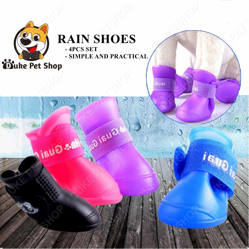 are dog rain boots really practical