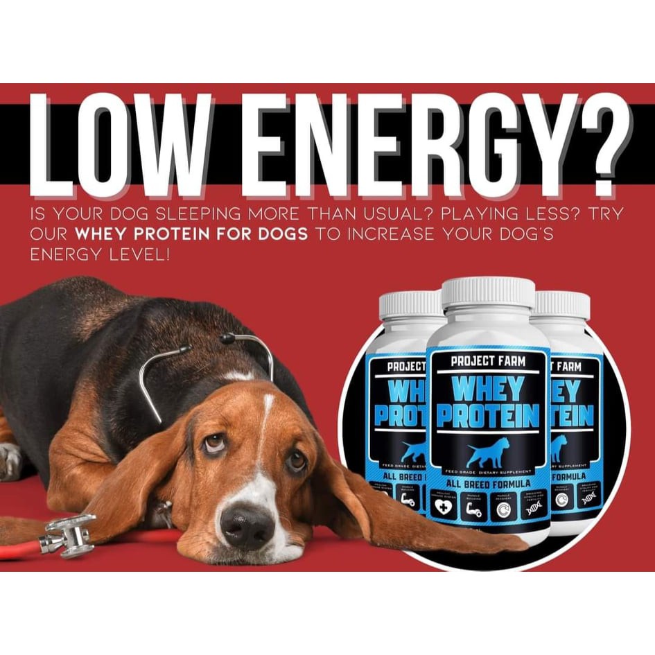 can you give your dog whey protein