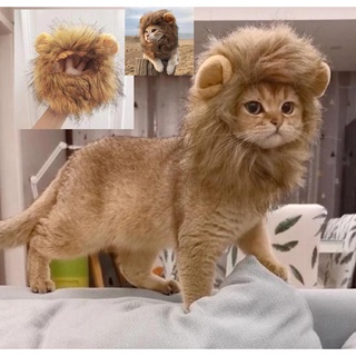 Cute Lion Mane Cat Wig Hat For Dogs And Cat Small Dog Pet Cat Decor Accessories Costume halloween Lion Wig Hair Cap Pet Supplies