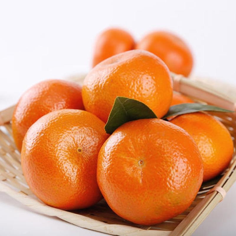 50pcs Bonsai Orange Tree Seeds Grow a Delicious Fruit Bearing Bonsai