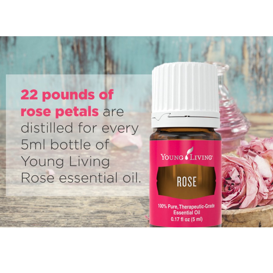 Young Living Rose Essential Oil 5ml Shopee Philippines