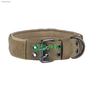 special dog collars