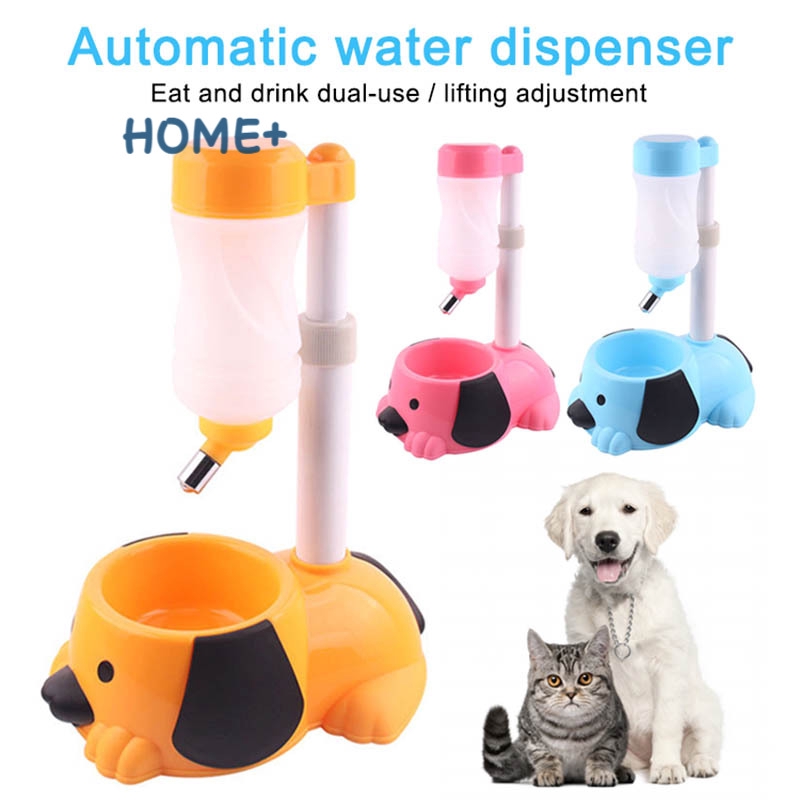 automatic dog feeder station