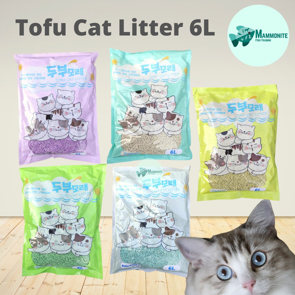 Tofu Cat Litter Flavored 2.5kg Clumping Korean Shopee Philippines