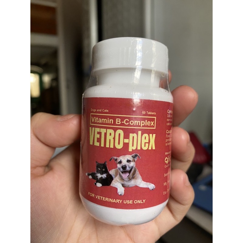 Are B Vitamins Good For Dogs