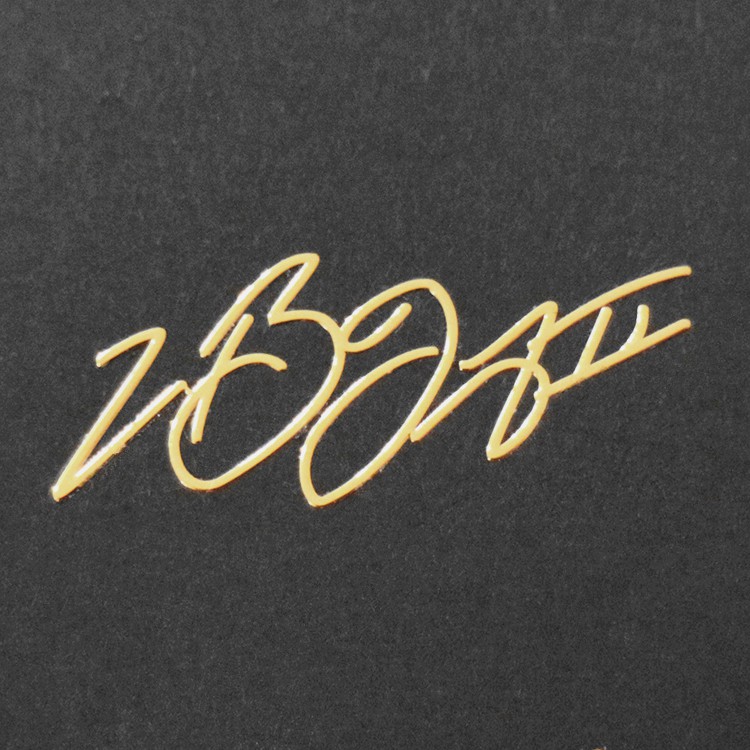 lebron signature