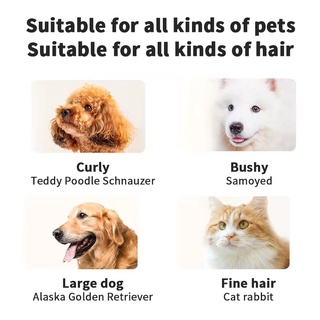 （Hot）Professional Pet Grooming Kit Pet Grooming Kit Cat Dog Hair Razor Trimmer Clipper Shaver Electr #6