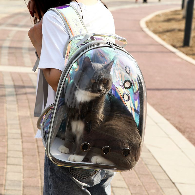 space capsule cat carrier