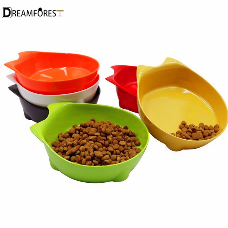 flat cat food dishes