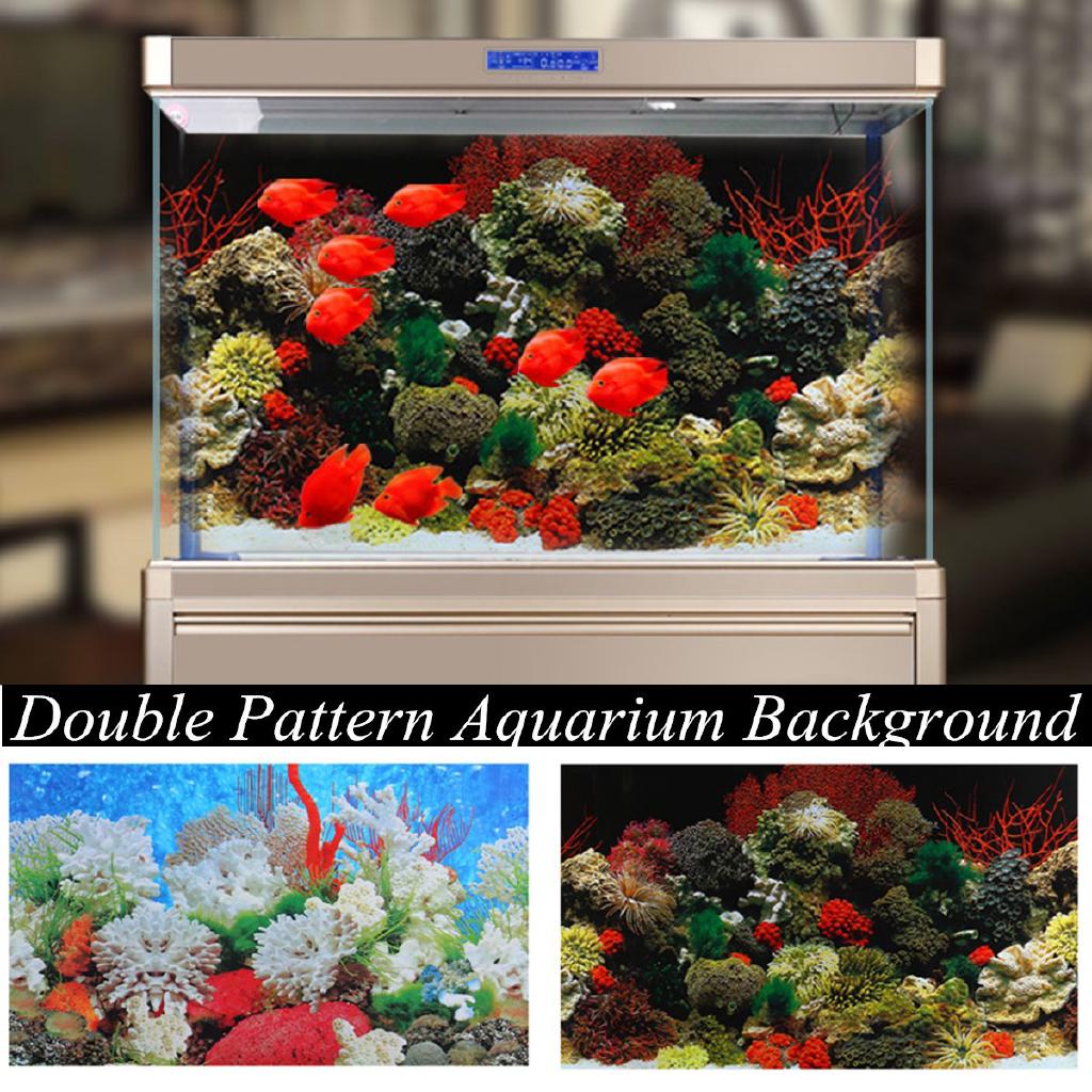 Download 990+ Background Aquarium Poster Paling Keren