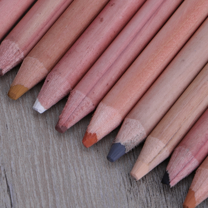 12Pcs Professional Soft Pastel Pencils Wood Skin Tint Pastel Colored Pencil Shopee Philippines