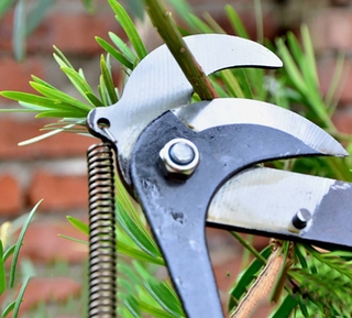 High Altitude Pruning Shears Tree Branches Trimmer Cutter Garden ...