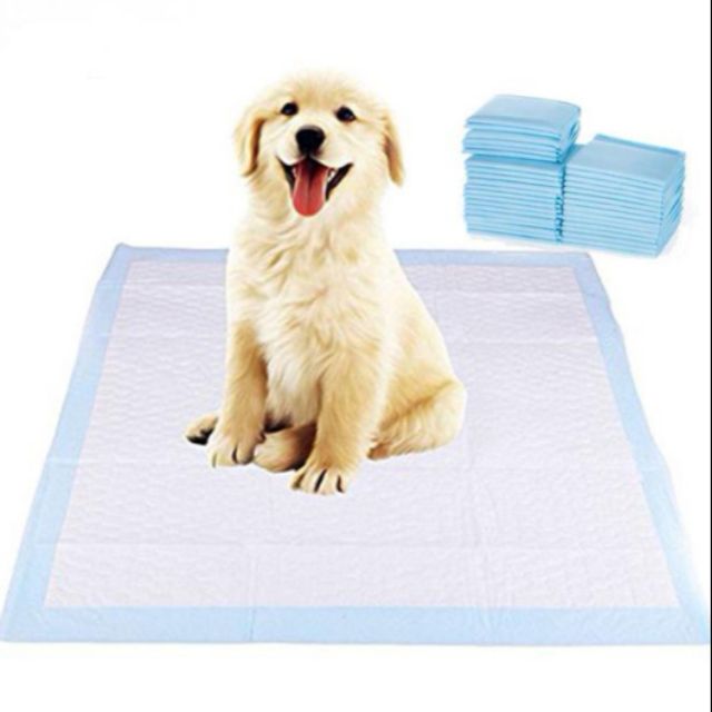 Puppy Dog Pee Poop Training Pad (per 