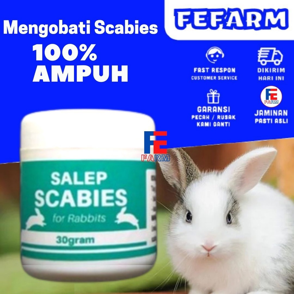 Super Powerful Rabbit Mushroom Medicine SCABIES Ointment Shopee