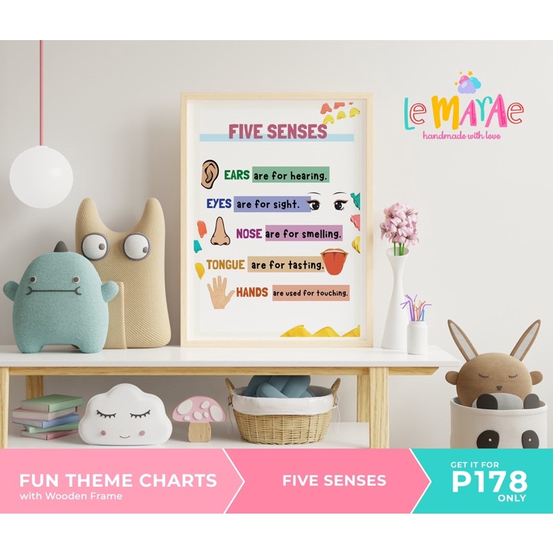 FIVE SENSES Fun Laminated Charts Educational Toys for Kids Wooden Frame