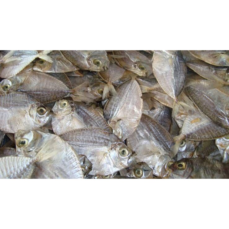 Dried Slipmouth Fish (Sap-Sap) Pinoy Bayanihan Food- 250 grams ewll
