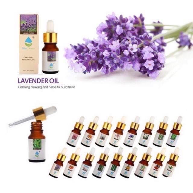 oil humidifier scent 10ml Shopee Philippines