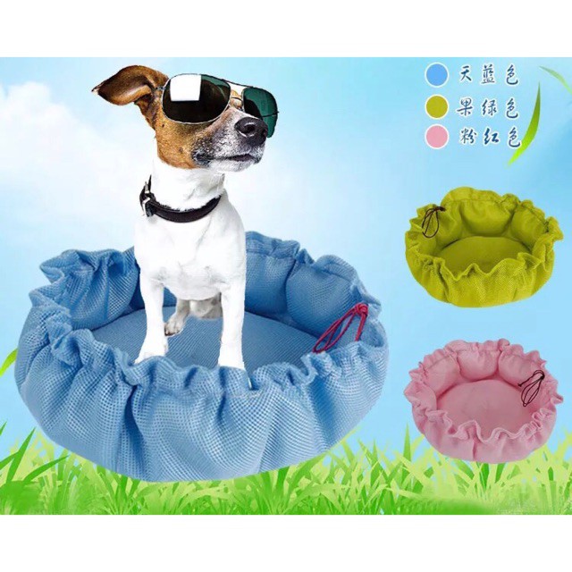 cool summer dog beds