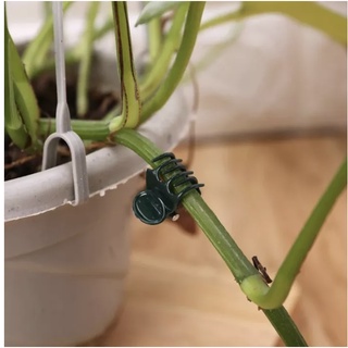 20 PCS Gardening Dark Green Plant Clips 6-Claw Orchid Flowers Support Clamp Climbing Vine Stem Clasp #3