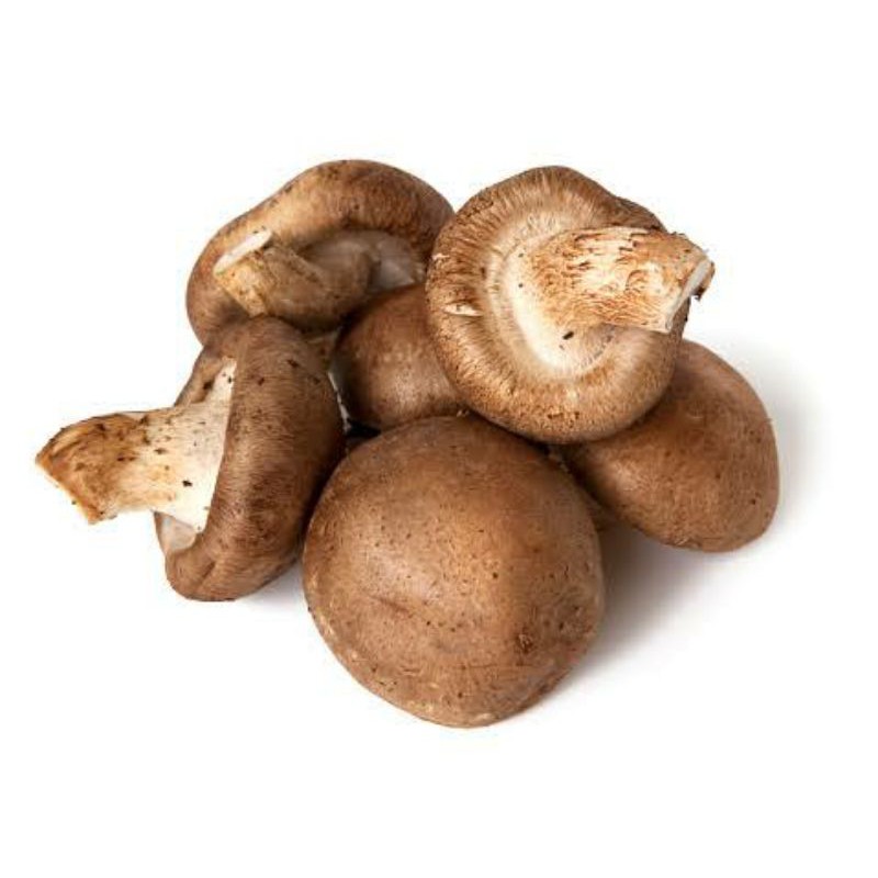 Shiitake Fresh Kl